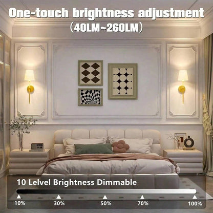 Battery Operated Wall Sconce LED